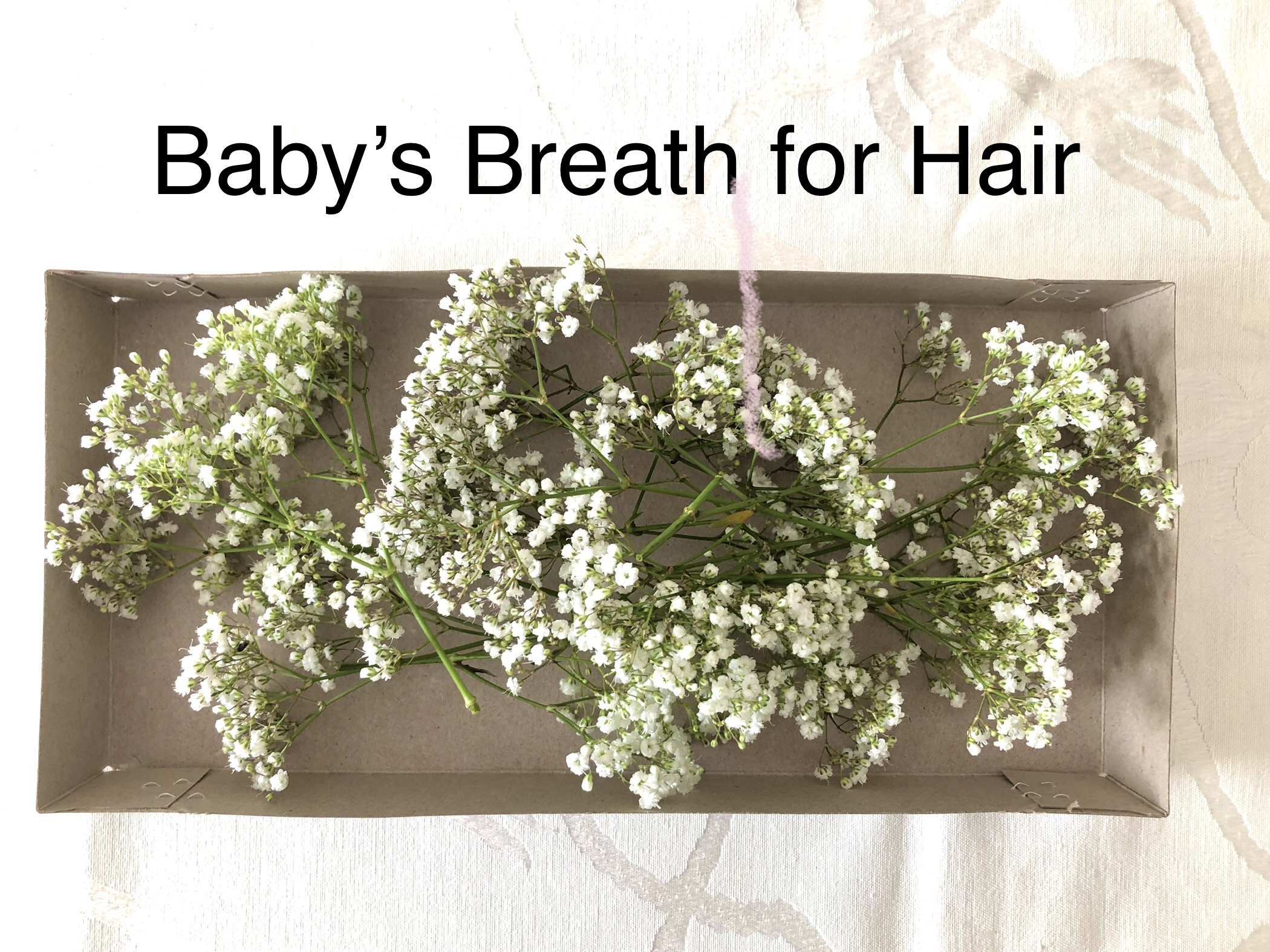 $10  - Babies Breath for hair      
