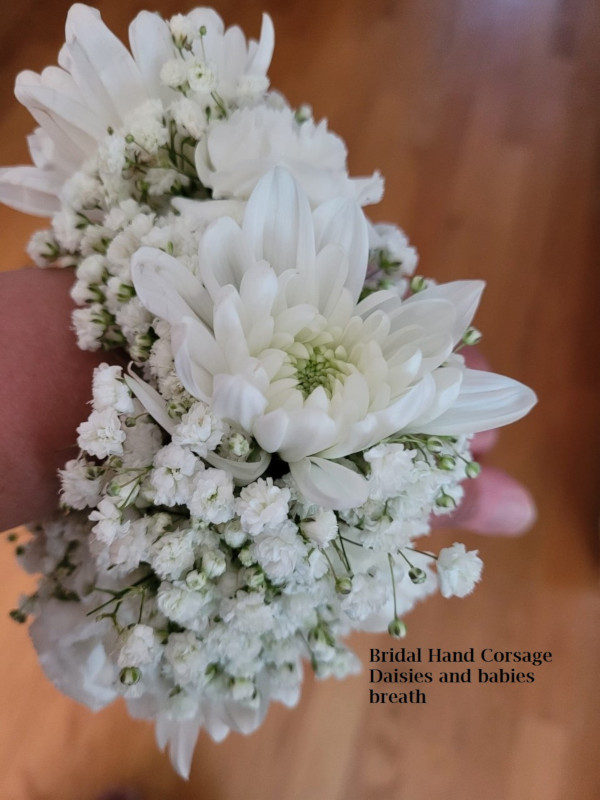 Bridal hand corsage Daisies $25   each               